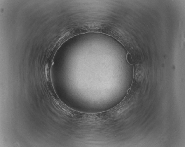 X0000065980866200603061212