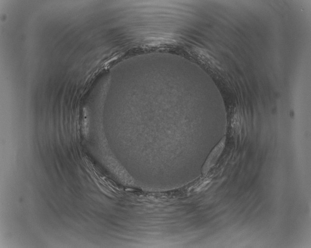 X0000065980868200603061212