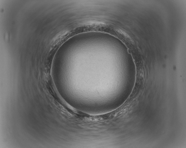 X0000065980869200603061212