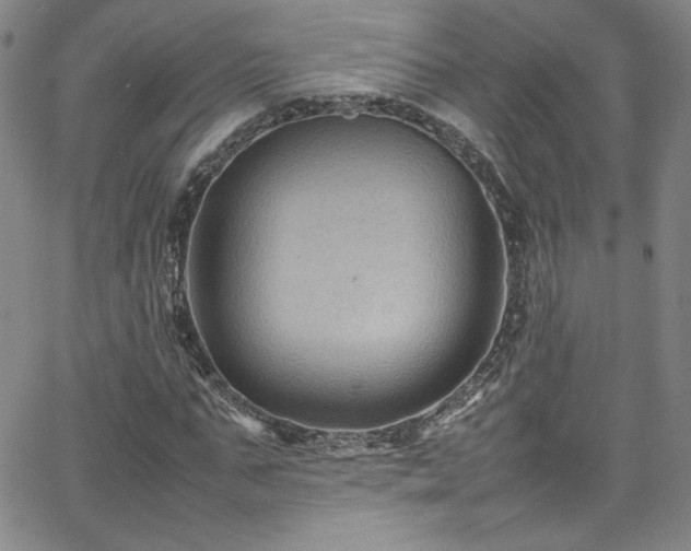 X0000065980871200603061212