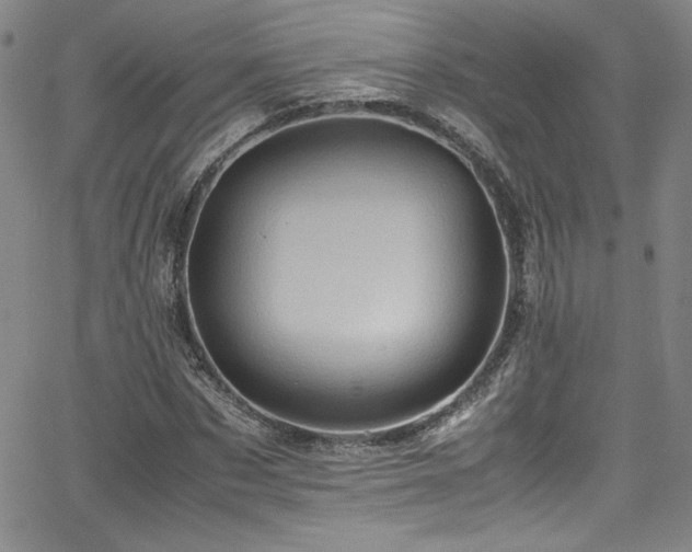 X0000065980873200603061212