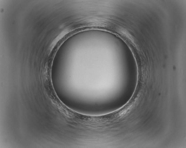 X0000065980875200603061212