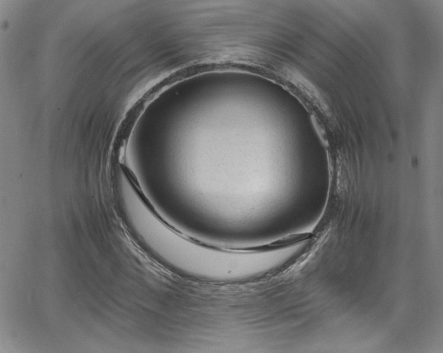 X0000065980876200603061212