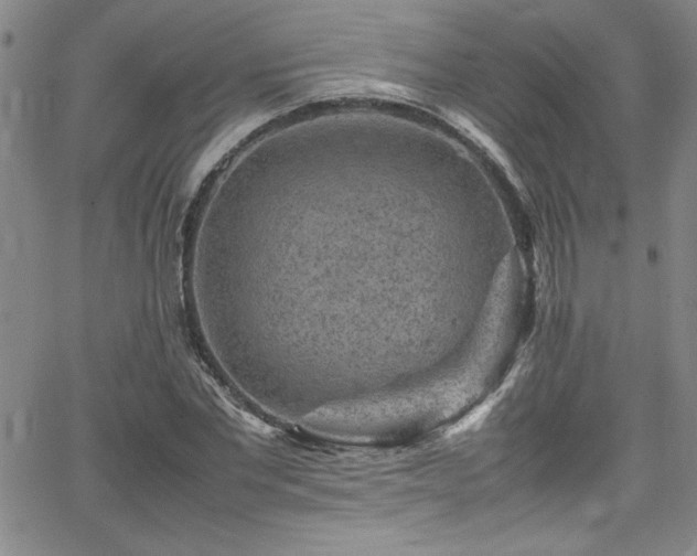 X0000065980877200603061212