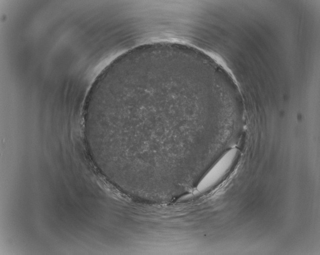 X0000065980879200603061212