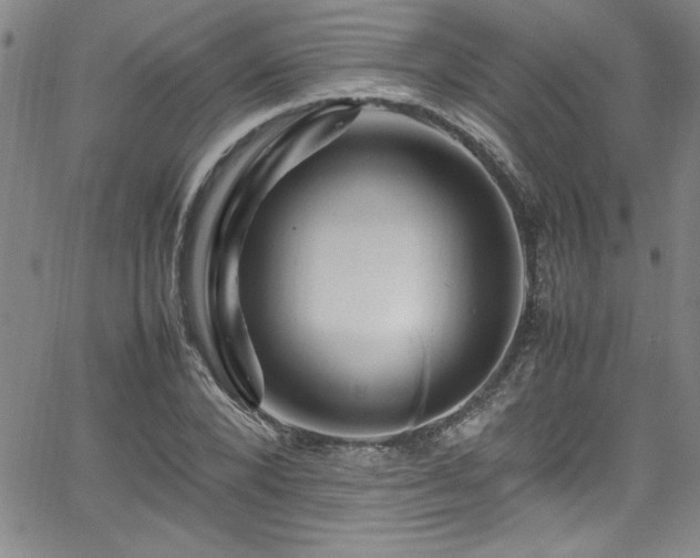 X0000065980880200603061212