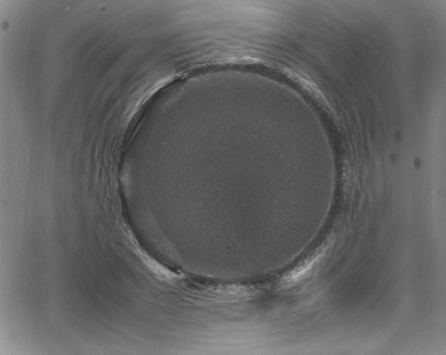 X0000065980881200603061212