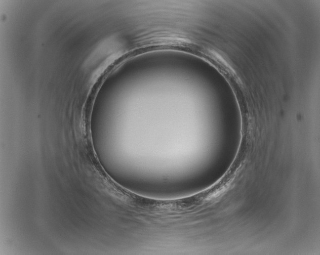 X0000065980883200603061212