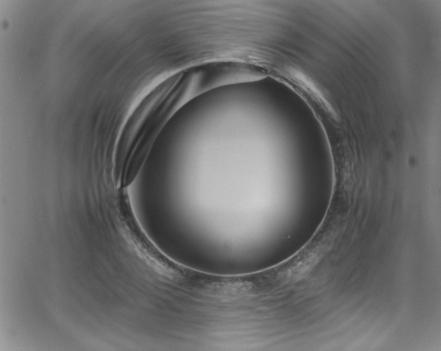 X0000065980884200603061212