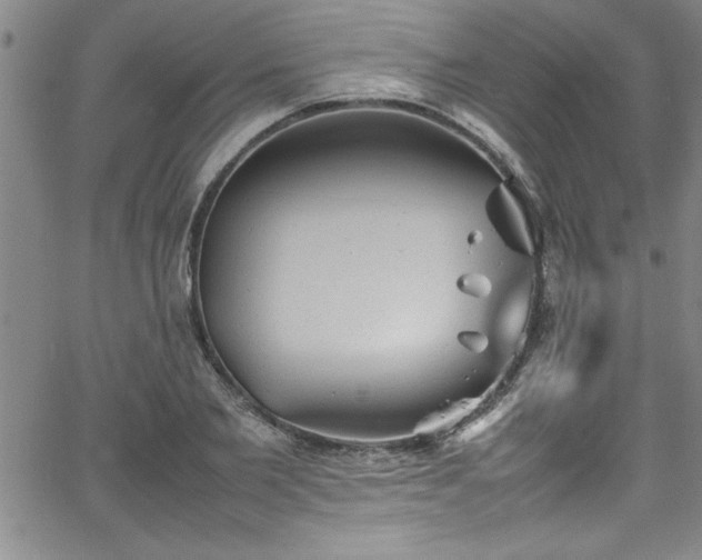 X0000065980885200603061212