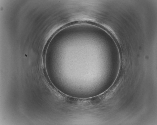 X0000065980887200603061212