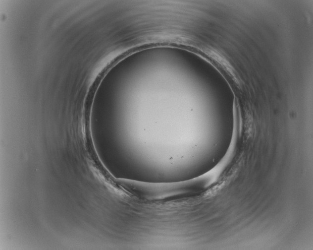 X0000065980888200603061211