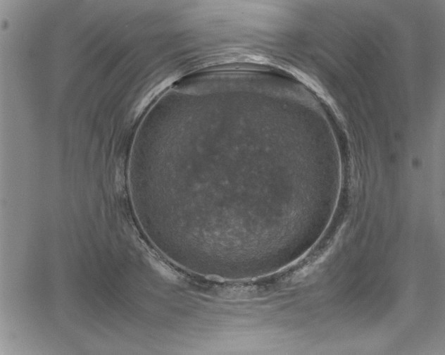 X0000065980889200603061211