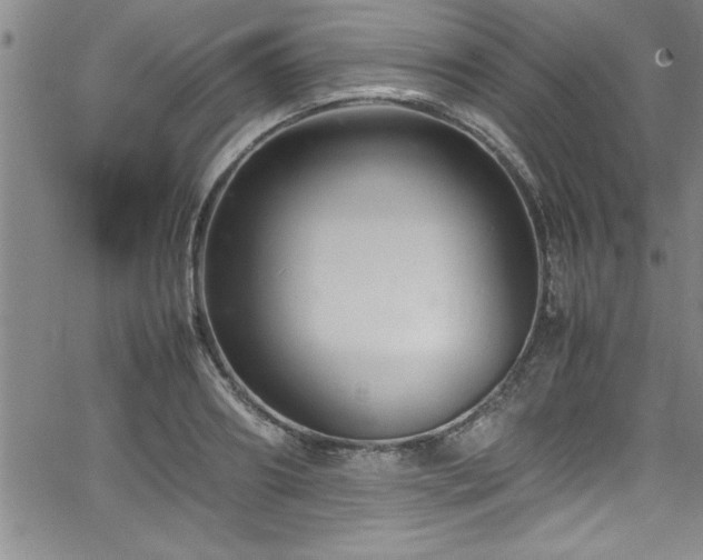 X0000065980890200603061211