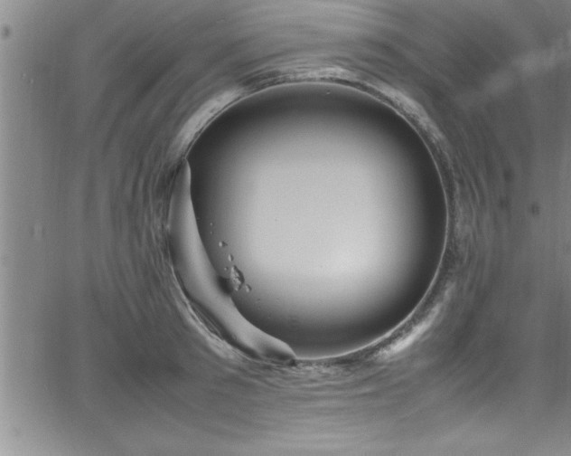 X0000065980897200603061211