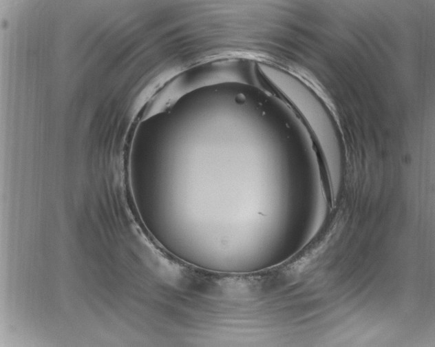 X0000065980898200603061211