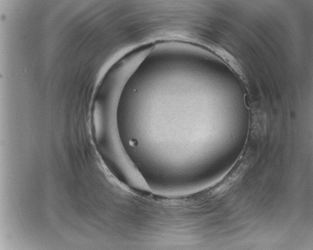 X0000065980904200603061211