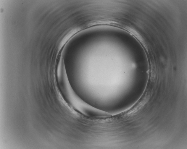 X0000065980906200603061211