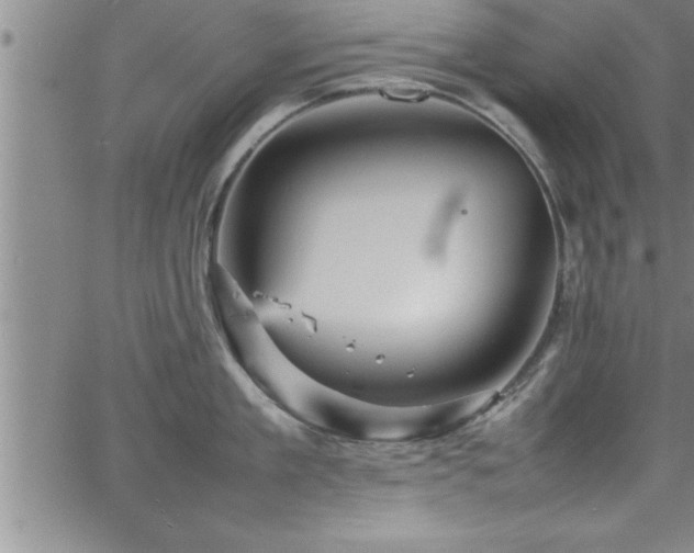 X0000065980909200603061211