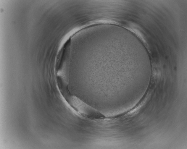 X0000065980910200603061211