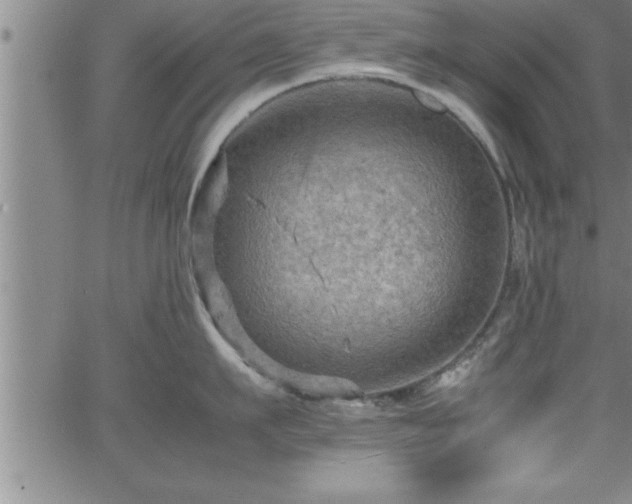 X0000065980911200603061211