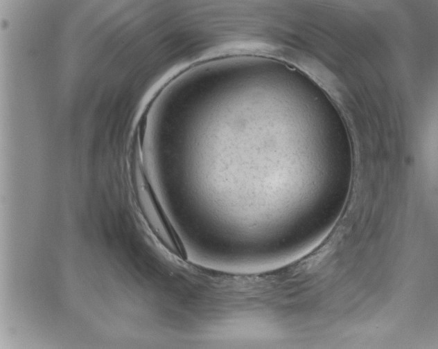 X0000065980912200603061211