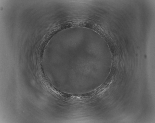 X0000065980913200603061210