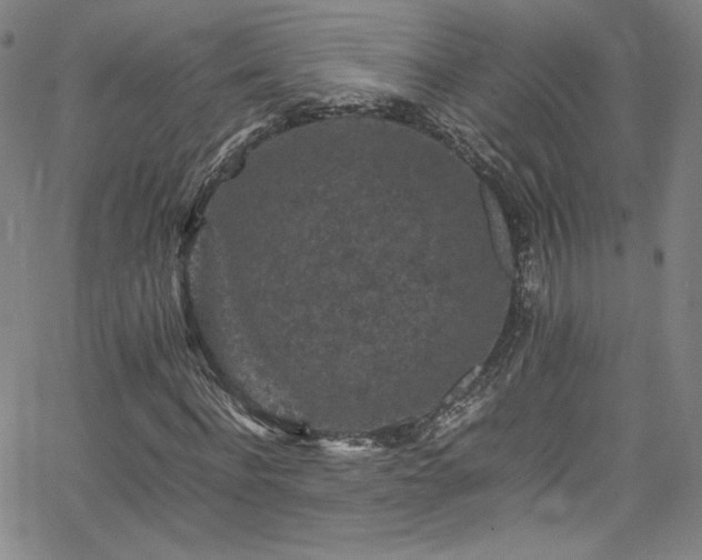 X0000065980916200603061210