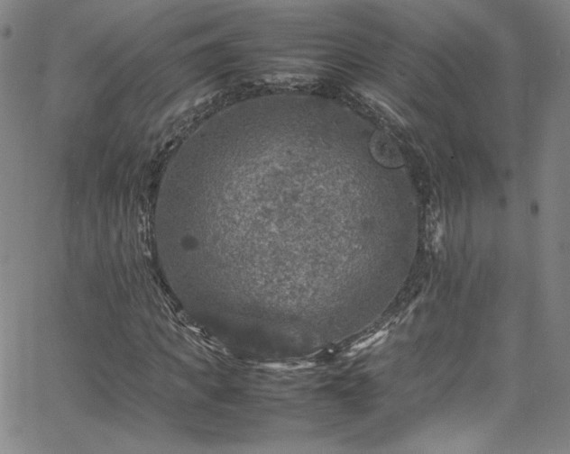 X0000065980917200603061210