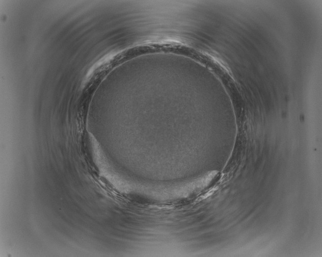 X0000065980920200603061210