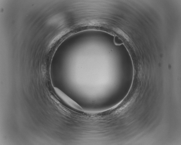 X0000065980922200603061210