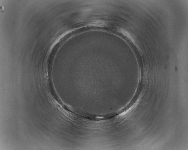 X0000065980923200603061210