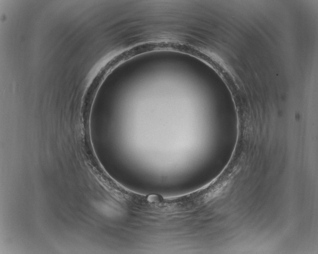 X0000065980927200603061211