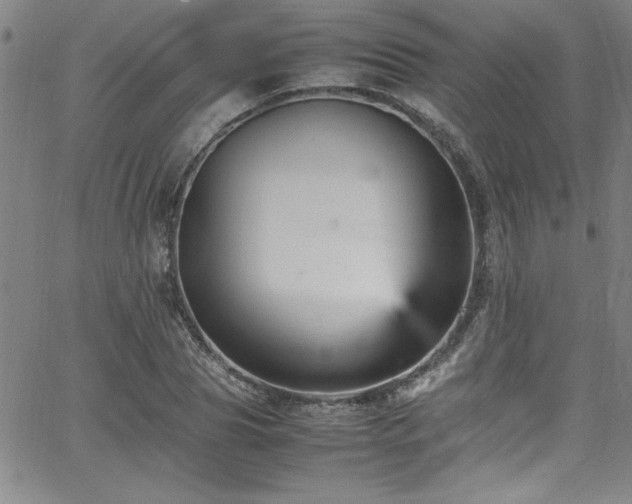 X0000065980929200603061211