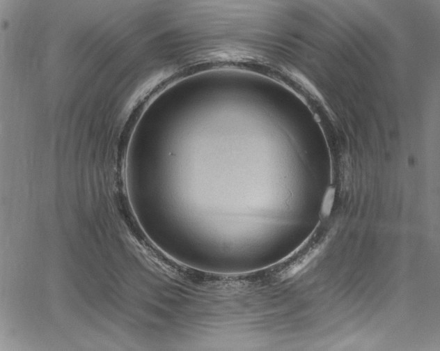 X0000065980930200603061211