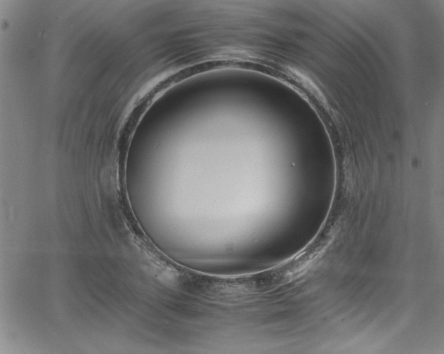 X0000065980931200603061211