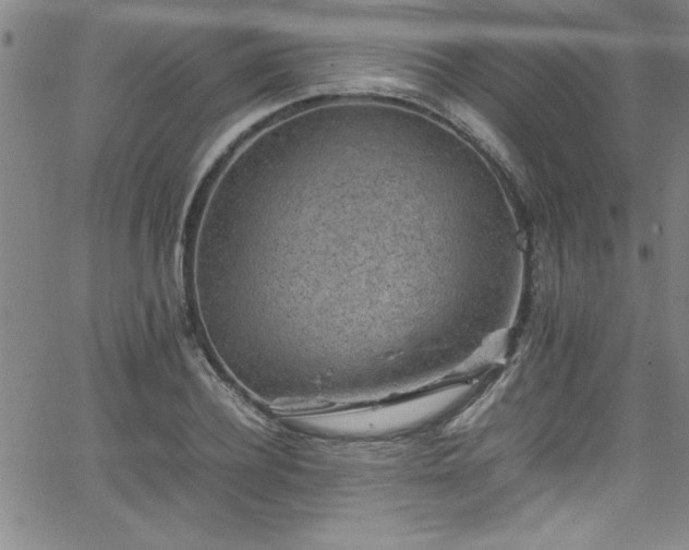 X0000065980932200603061211