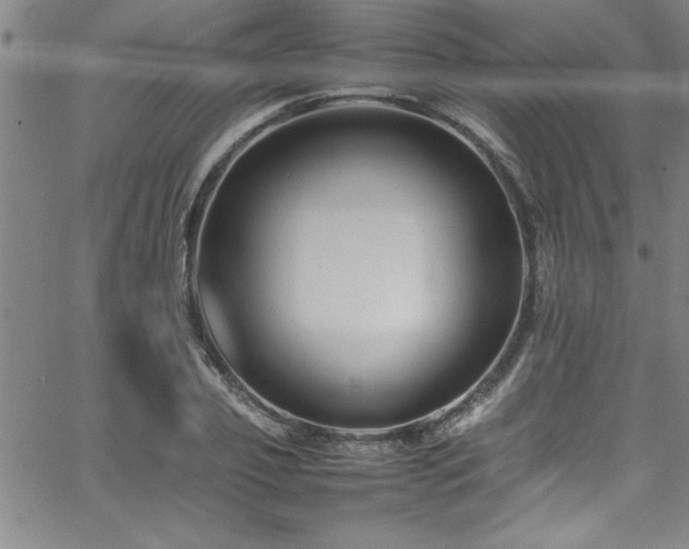 X0000065980933200603061211