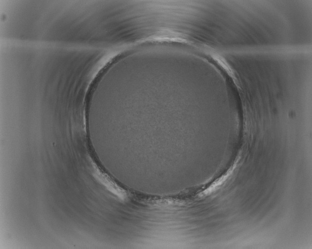 X0000065980934200603061211