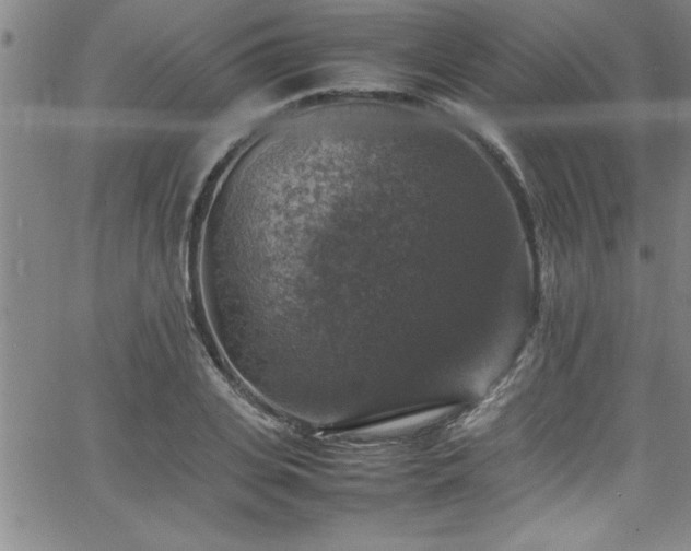 X0000065980935200603061211