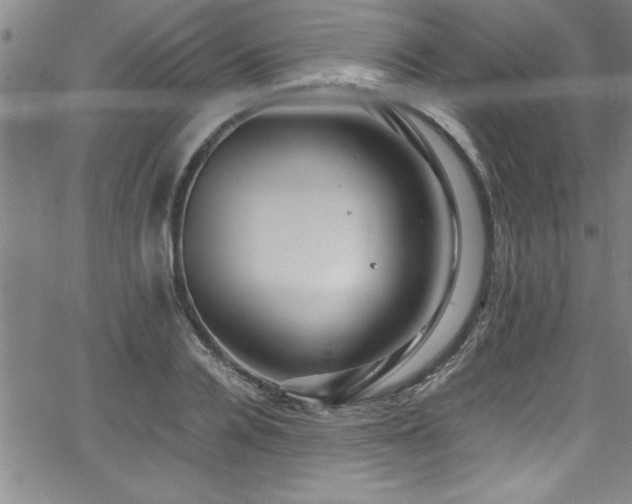 X0000065980936200603061211