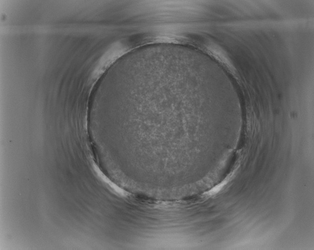 X0000065980938200603061211