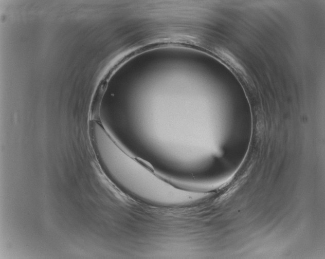 X0000065980940200603061211