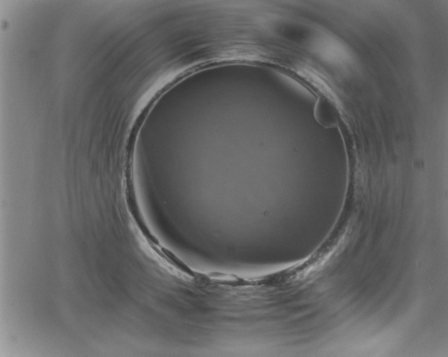 X0000065980941200603061211