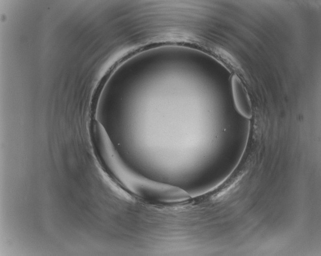 X0000065980942200603061211