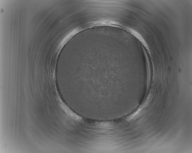 X0000065980946200603061211