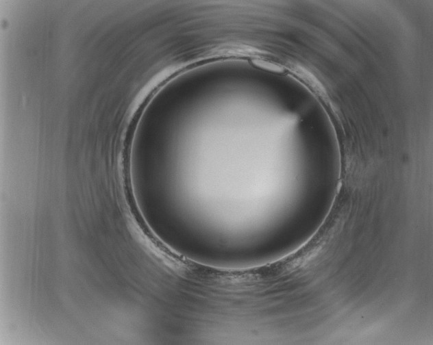 X0000065980947200603061211