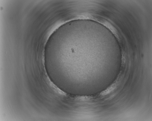 X0000065980950200603061211