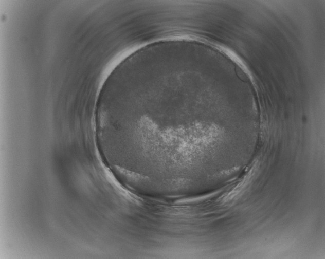 X0000065980951200603061211