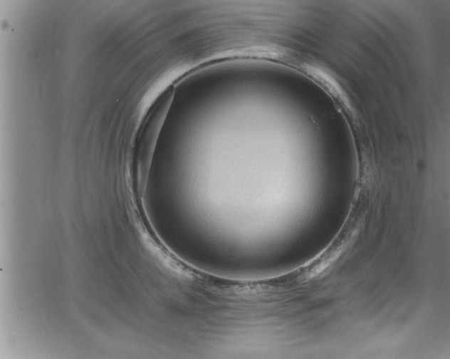 X0000065980952200603061211